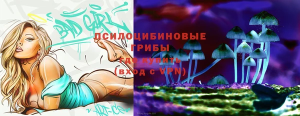соль ск Алзамай