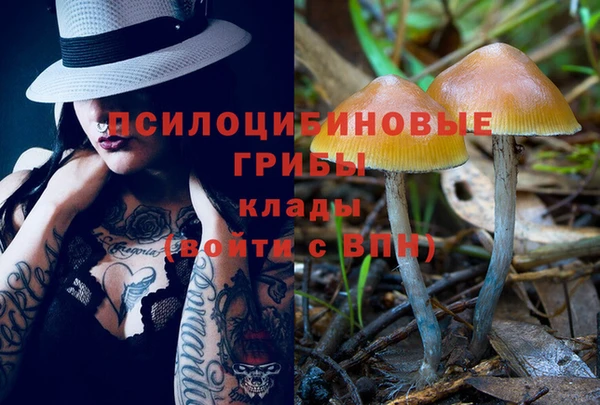 соль ск Алзамай