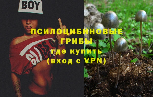 МДПВ Алексеевка