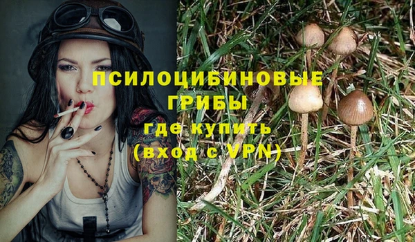 МДПВ Алексеевка