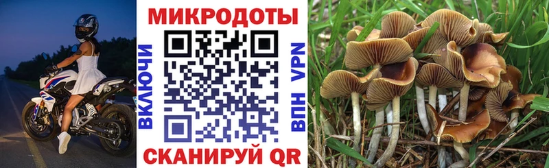 Псилоцибиновые грибы GOLDEN TEACHER Венёв